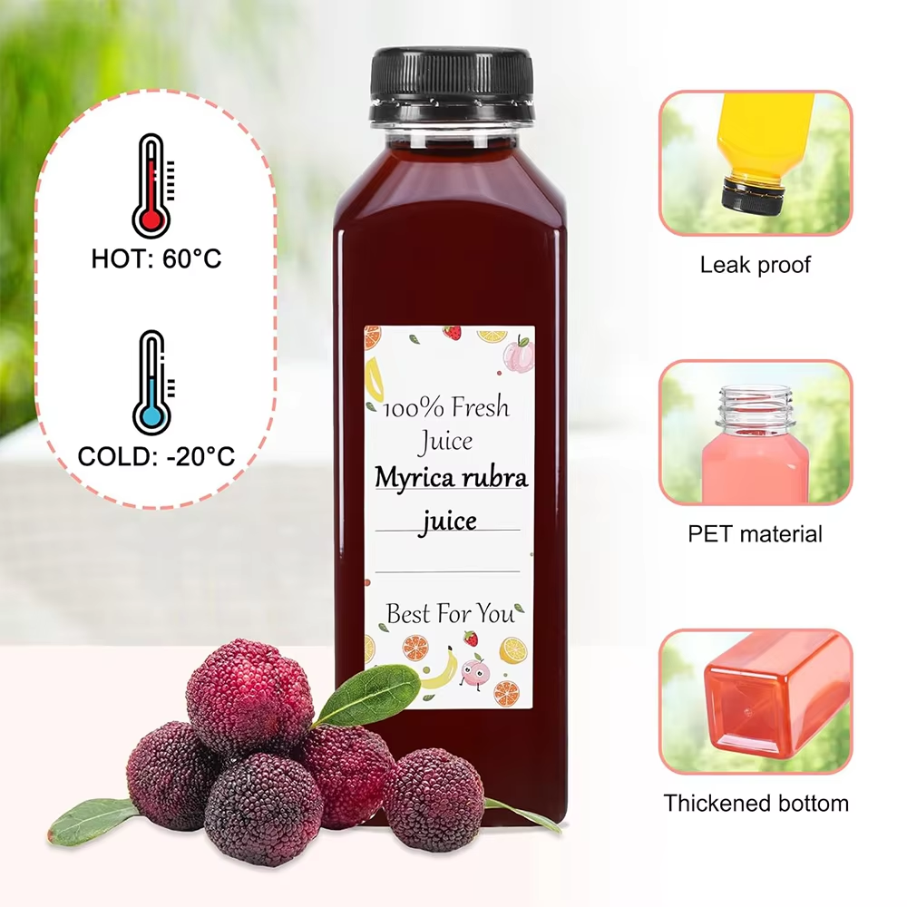 500ML Juice Bottles with Caps  - Water Bottle Blank 리뷰 및 가격