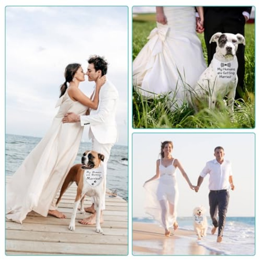 Blank Dog Bandanas -1PCS, DIY  - Bandana Blank White 리뷰 및 가격