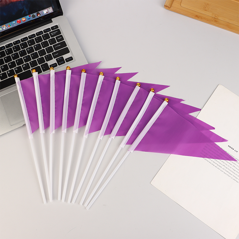 10Pcs Colorful Triangular Flag - Yard Sign Blank 리뷰 및 가격