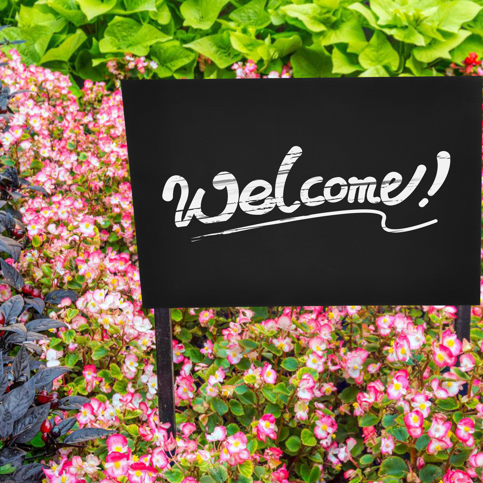 2Pcs Professional Black Blank  - Yard Sign Blank 리뷰 및 가격