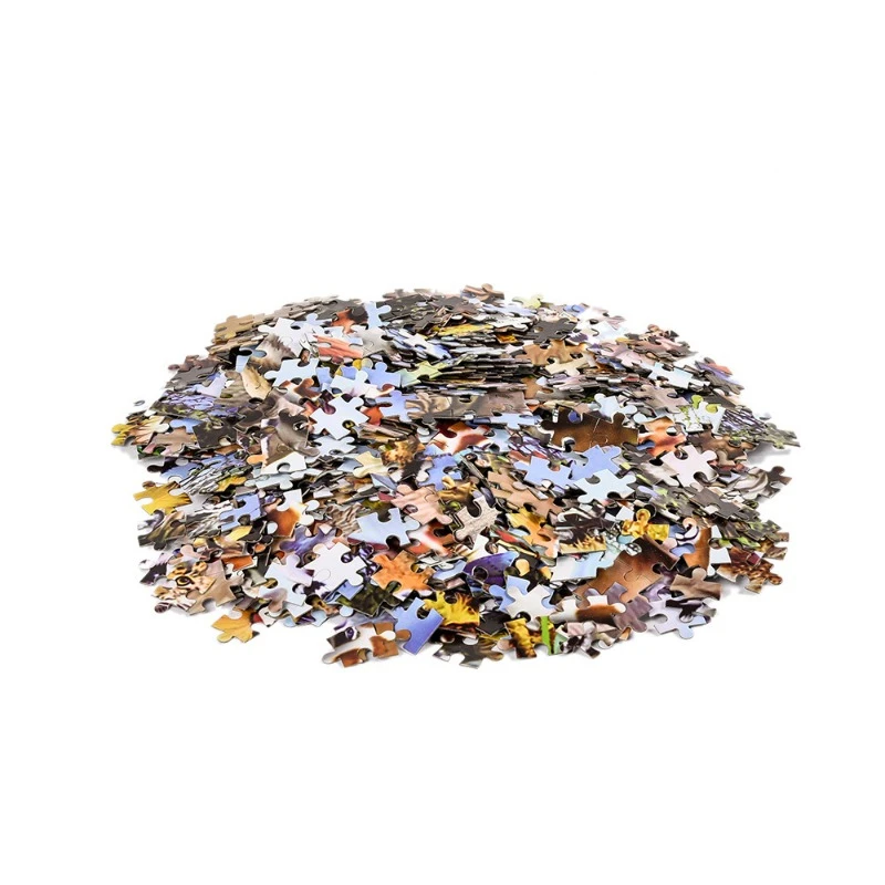 75*50cm Adult 1000 Pieces Jigs - Puzzle Blank White 리뷰 및 가격